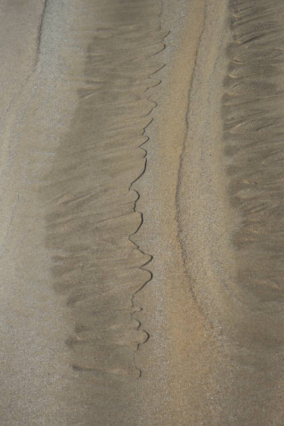 istock Saint-Malo sand low tide 921224602