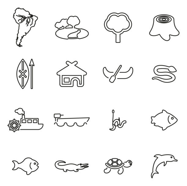 Amazon Rainforest & Wildlife Icons Thin Line Vector Illustration Set This image is a vector illustration and can be scaled to any size without loss of resolution. Boa stock illustrations