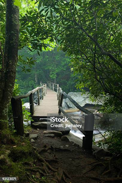 Footbridge Chimney Tops Trail Great Smoky Mtns Nat Park Tn Stock Photo - Download Image Now