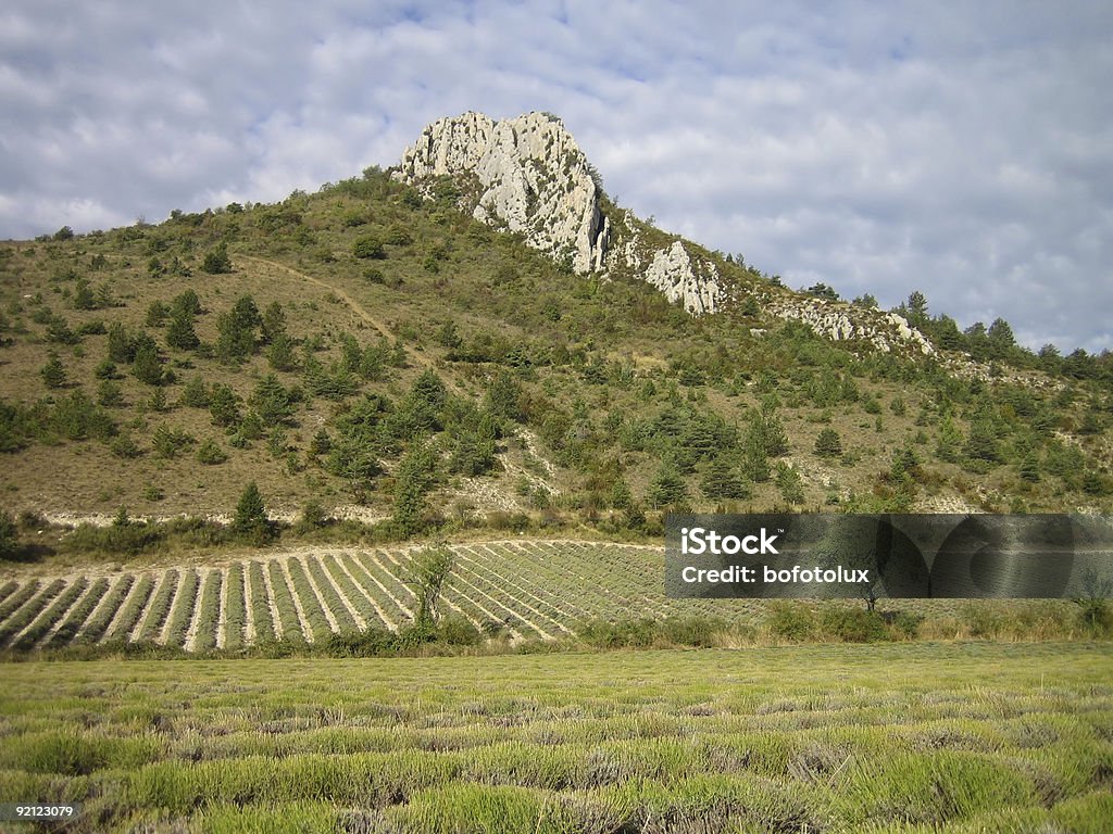 Provence - Drome  Adventure Stock Photo