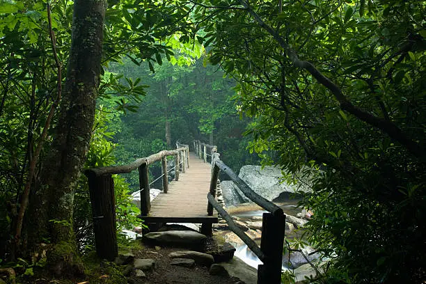 Photo of Footbridge, Chimney Tops Trail, Great Smoky Mtns Nat Park, TN