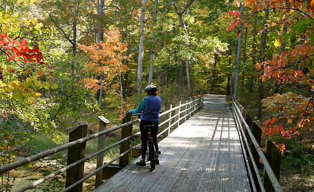 Bicycle solace stock photo