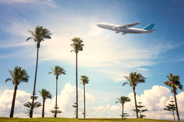 airplane flight landing over tropic land