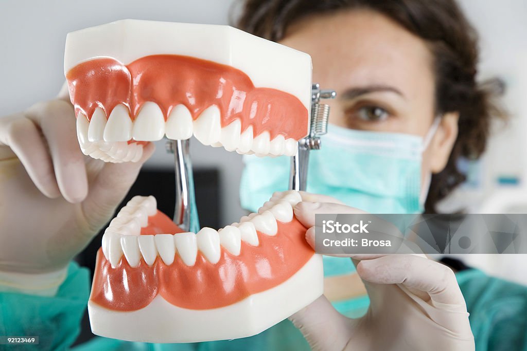 Dentista mostrar una reproducción dientes - Foto de stock de Abrigo libre de derechos