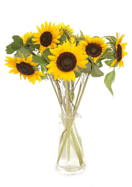 istock sunflowers in a vase 92123486