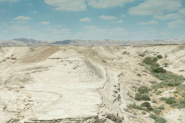 istock Agriculture in Israel 921245732