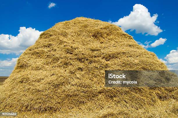 Foto de Pilha De Palha e mais fotos de stock de Meda - Meda, Campo, Agricultura