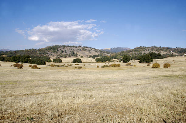istock Santa Ysabel Valley, California 92125198