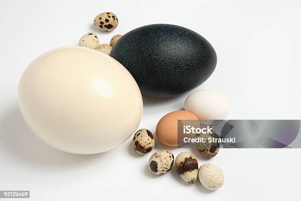 Eggs Stock Photo - Download Image Now - Animal Egg, Egg - Food, Ostrich