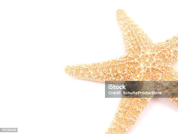 Estrella De Mar Foto de stock y más banco de imágenes de Blanco - Color - Blanco - Color, Color - Tipo de imagen, Concha - Parte del cuerpo animal