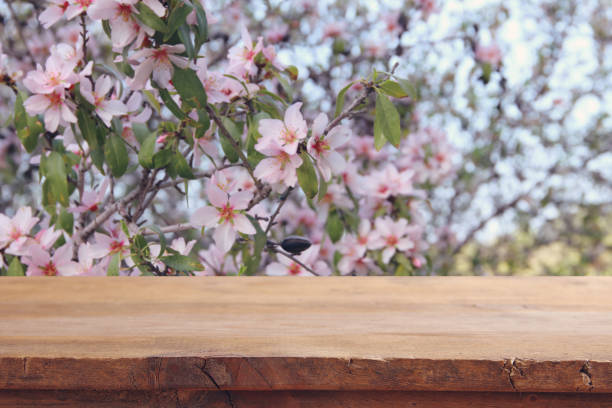 istock wooden rustic table in front of spring cherry blossoms tree. product display and picnic concept. 921257158