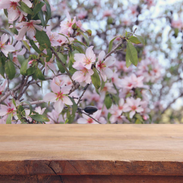 istock wooden rustic table in front of spring cherry blossoms tree. product display and picnic concept. 921257196