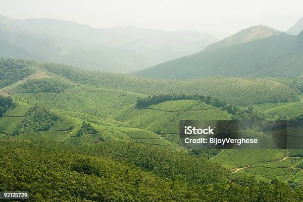 Munnar Kerala Foto de stock y más banco de imágenes de Kerala - Kerala, Aire libre, Aldea