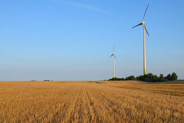 istock Energy generating wind turbines on wheat field 92126471