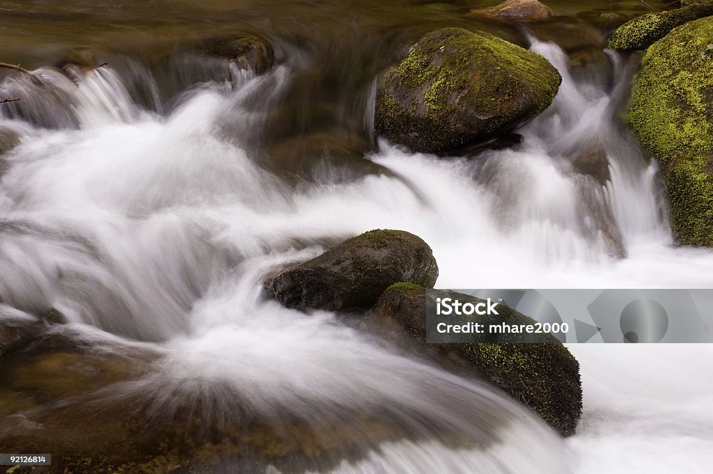 Roaring Forks Motor de Whitewater - Photo de Cascade libre de droits