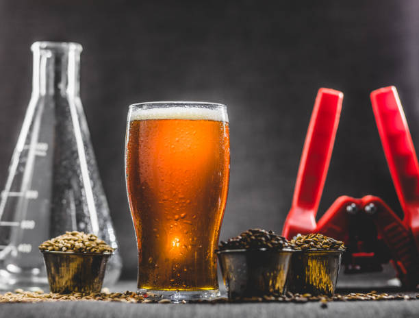 istock Homebrew Honey Brown Beer, Different Barley and Brewing Equipment 921269878