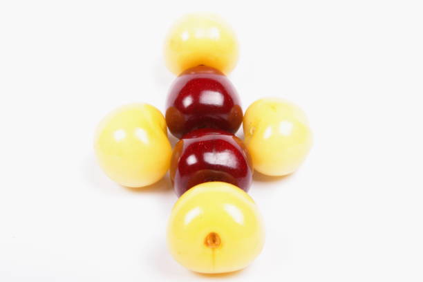 istock Red cherries on a white background, berries pop art, yellow cherries, isolated cherry, red cherry in the style of minimalism, vegetarianism, fruit pop art 921271066