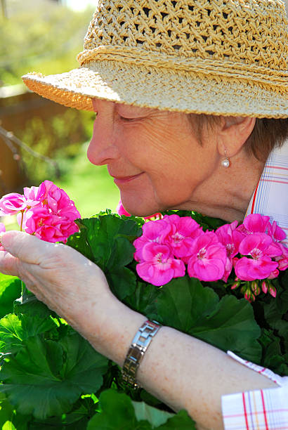 istock Senior woman gardening 92127161
