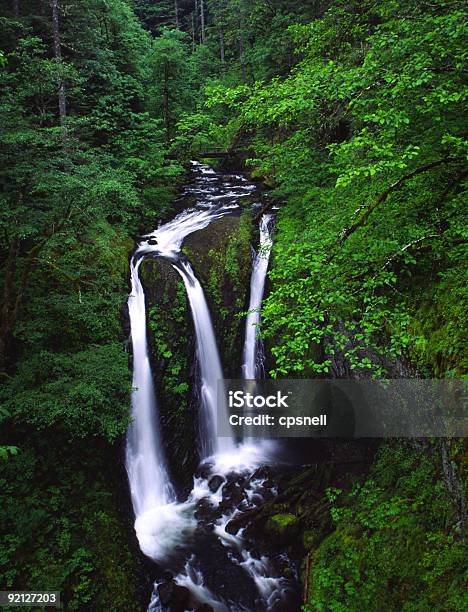 Photo libre de droit de Triple Falls banque d'images et plus d'images libres de droit de Activité de loisirs - Activité de loisirs, Amérique du Nord, Arbre à feuilles persistantes