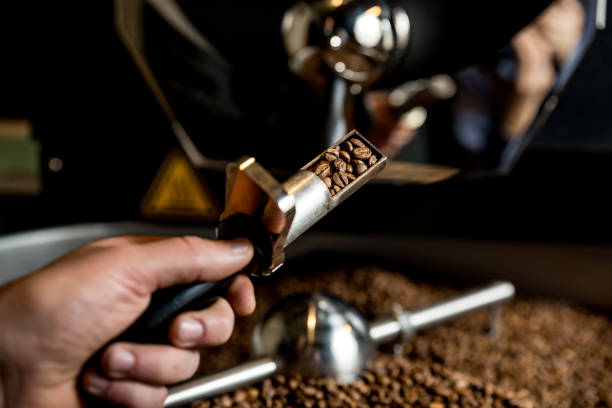 coffee beans during the roasting process - tamper imagens e fotografias de stock