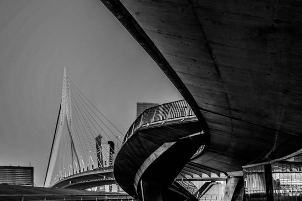 istock Erasmusbrug, Rotterdam in Nederland 921277398