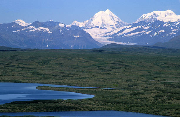 denali highway vue - alaska denali national park motor home mt mckinley photos et images de collection