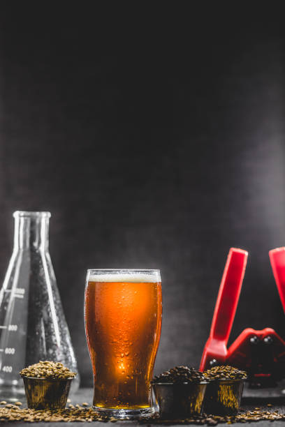 istock Homebrew Honey Brown Beer, Different Barley and Brewing Equipment 921283260