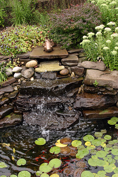 istock Plant filled Backyard Garden Pond Oasis 92128595