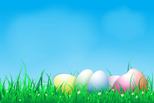 istock illustration of easter day with an egg on green grass blooming flower with blue sky ,copy space for a word and text ,spring festival 921287148