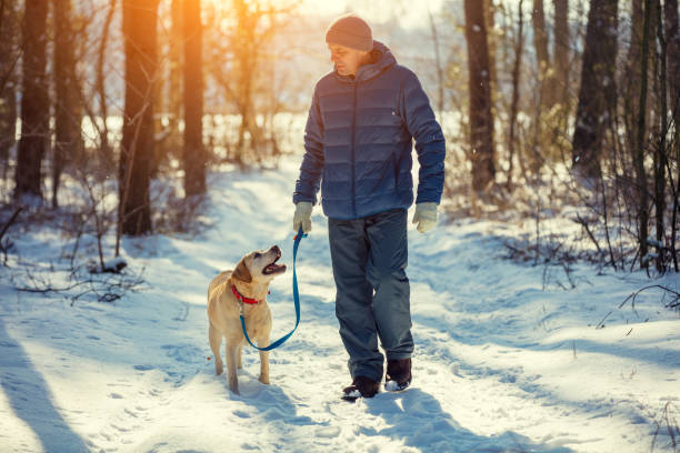 Man with dog on a leash walking on snowy pine forest in winter