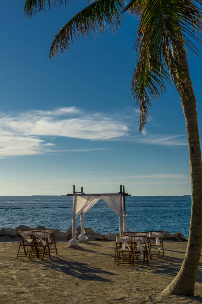 istock USA, Florida, Ready for romantic beach wedding party at sunset key west under palm tree 921290134