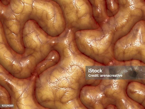 Intelligenz Stockfoto und mehr Bilder von Aneurysma - Aneurysma, Anatomie, Betrachtung