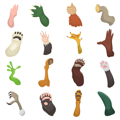 Animal paw vector animalistic pets claw or hand of cat or dog and bears or monkey paws illustration mammals pawky hello set isolated on white background.