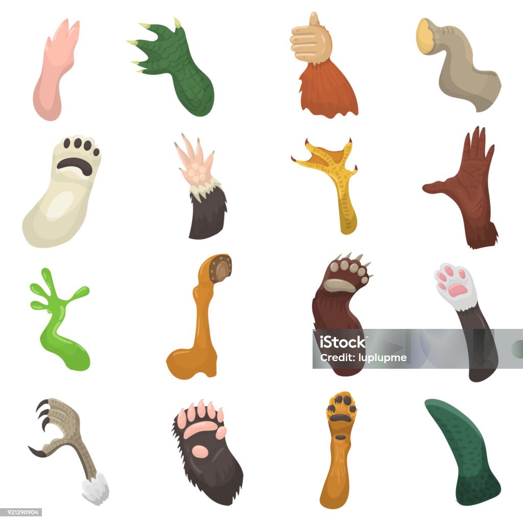 Animal paw vector animalistic pets claw or hand of cat or dog and bears or monkey paws illustration mammals pawky hello set isolated on white background Animal paw vector animalistic pets claw or hand of cat or dog and bears or monkey paws illustration mammals pawky hello set isolated on white background. Claw stock vector