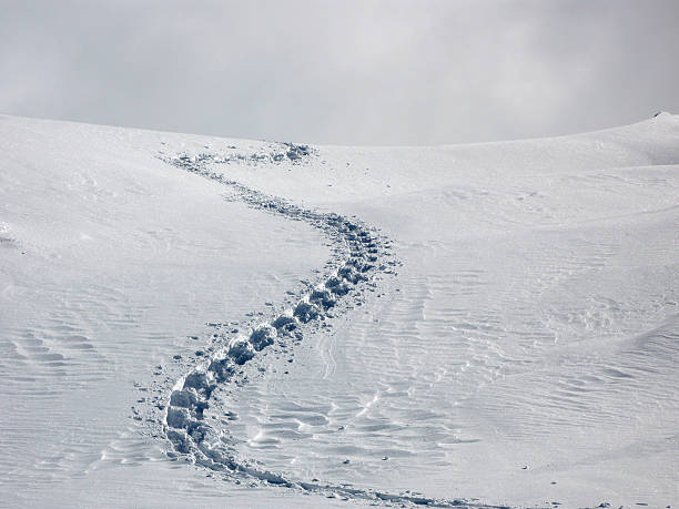 lost - snow track human foot steps stock-fotos und bilder