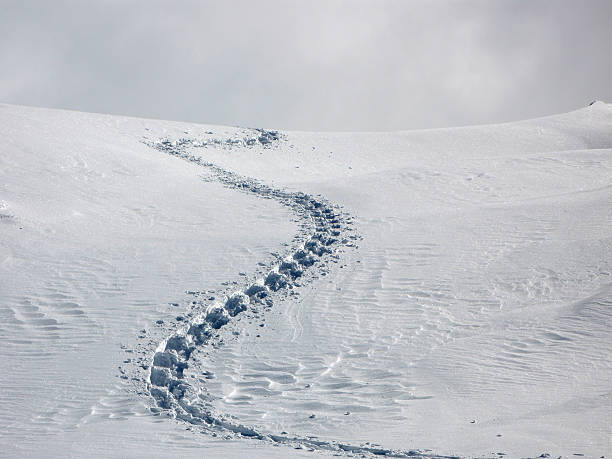 потерянный - snow track human foot steps стоковые фото и изображения