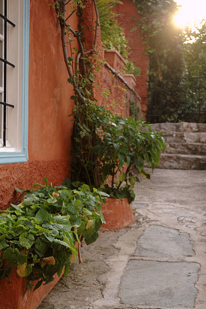 istock Mediterranean Garden Walkway with sun through leaves 92129201