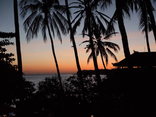istock Sunset on the sea coast. Bali, Indonesia 921292996