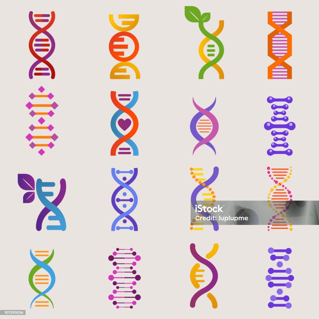 DNA vector genetic sign with genome or gene in biology medical research and DNAse or DNAbinding structure illustration set isolated on white background DNA vector genetic sign with genome or gene in biology medical research and DNAse or DNAbinding structure illustration set isolated on white background. DNA stock vector