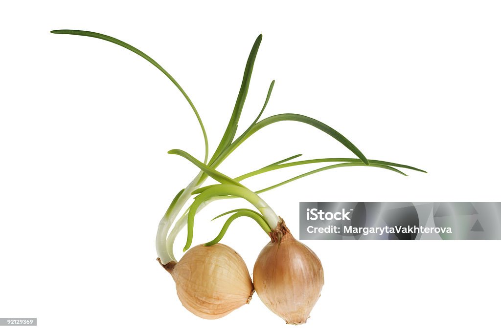 Funny Onion On A White Background Stock Photo - Download Image Now -  Antioxidant, Close-up, Color Image - iStock