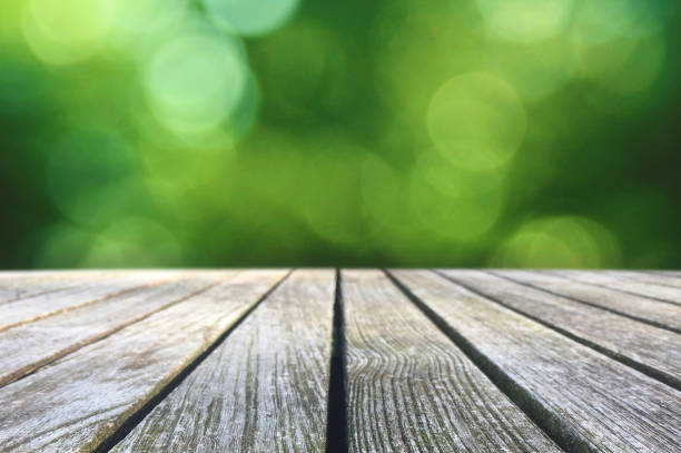 Wood Picnic Table Texture Over Green Spring Nature Background