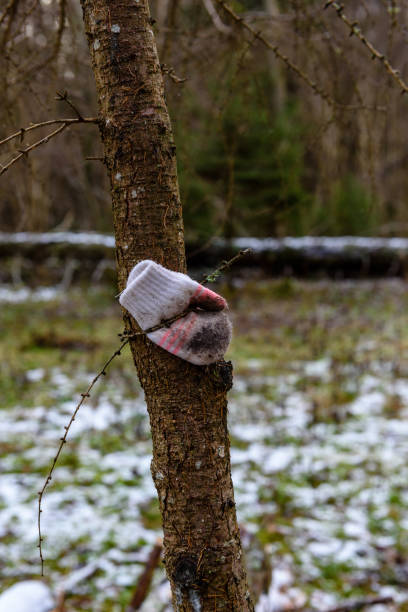Close up of lost glove on a stick during snowfall