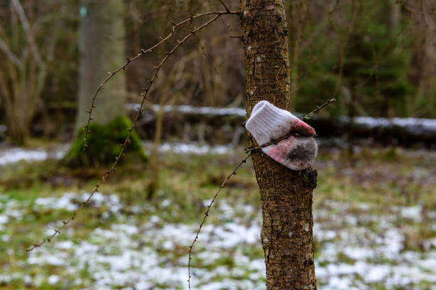 Close up of lost glove on a stick during snowfall