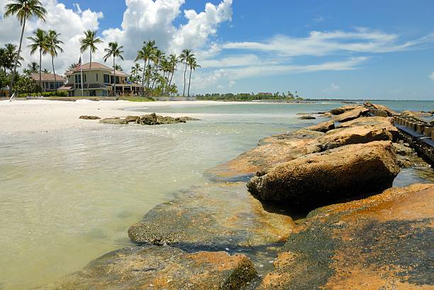 Ocean shore stock photo