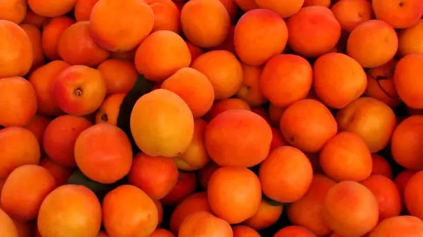 display of apricots on a Greek market