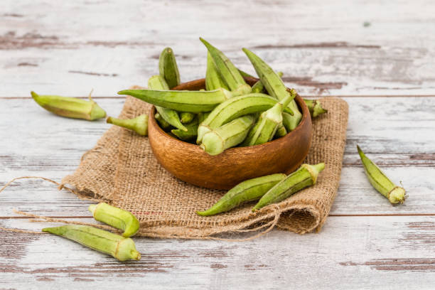 green okra vegetable - table ingredient gardening agriculture imagens e fotografias de stock