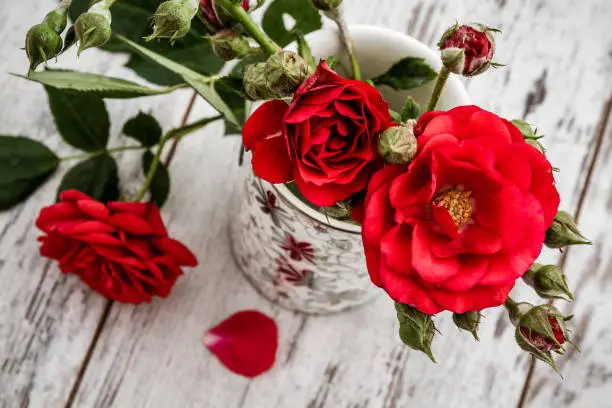 Beautiful fresh red roses in a white, silver decorative cup