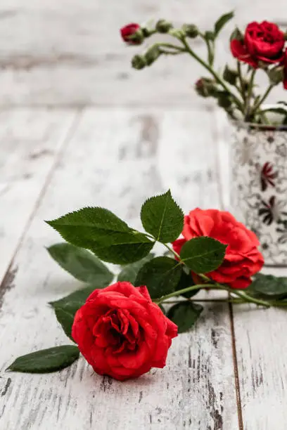 Beautiful fresh red roses in a white, silver decorative cup