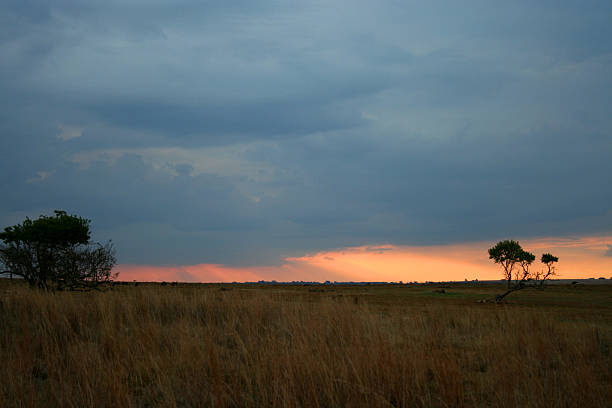 Pôr-do-sol em uma reserva de caça sul-africano - foto de acervo