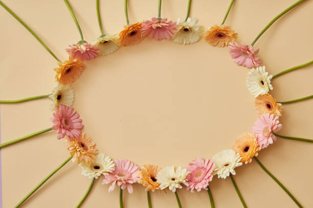 istock Oval frame from gerbera flowers on a yellow background with copy space 921316188